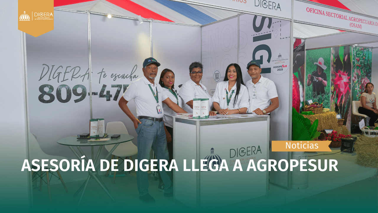 Carta de categoria